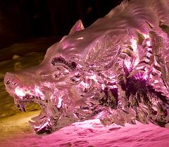 Ice Alaska 09 Hasselblad -0003492-4